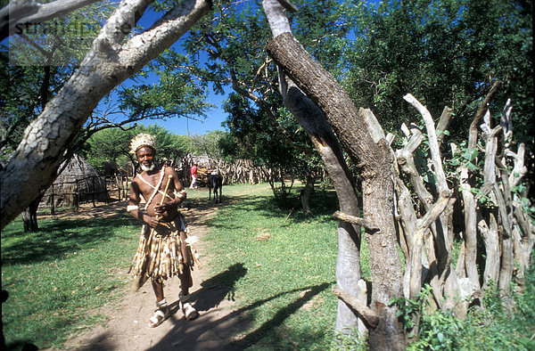 Südafrika  Zulu Dorf