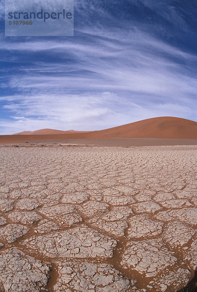 Afrika  Namibia  Wüste