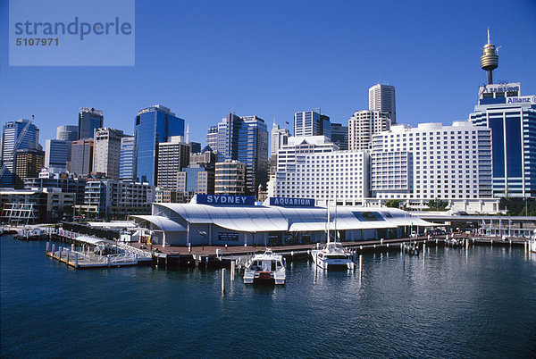 Australien  Sydney  aquarium