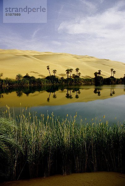 Libyen  Ramla Daouada  Lake Oum El Ma