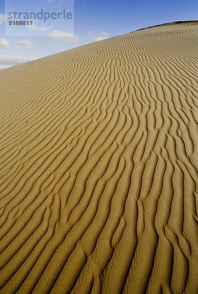 Namibia  Namib-Wüste  Dune