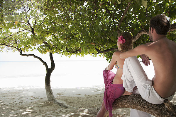 sitzend  Strand  Baum