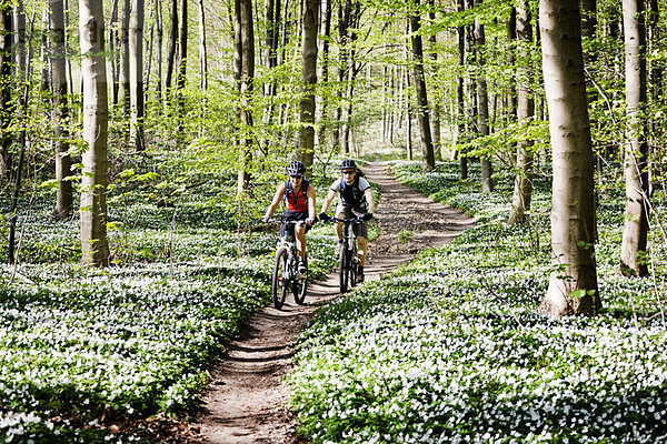 Zusammenhalt  Berg  radfahren