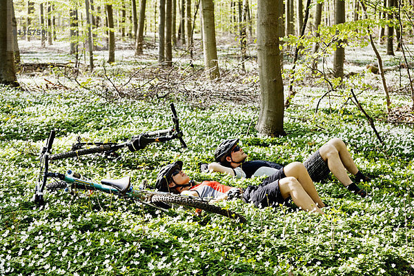 Berg  Entspannung  Wald