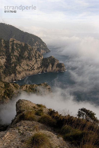 Landschaft geschlossen Küste Nebel Italien Ligurien Portofino