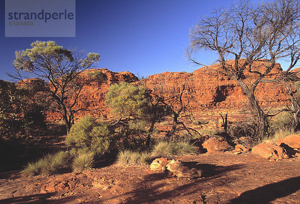 Australia  Northern Territory  Watarrka-Nationalpark  der Kings canyon