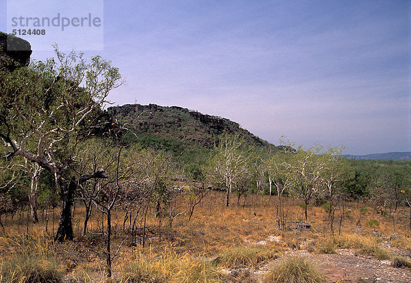 Australia  Northern Territory  Kakadu-Nationalpark