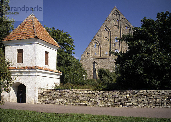 Europa  Estland  Tallinn  Baltikum  Ruinen von Pirita Abbey