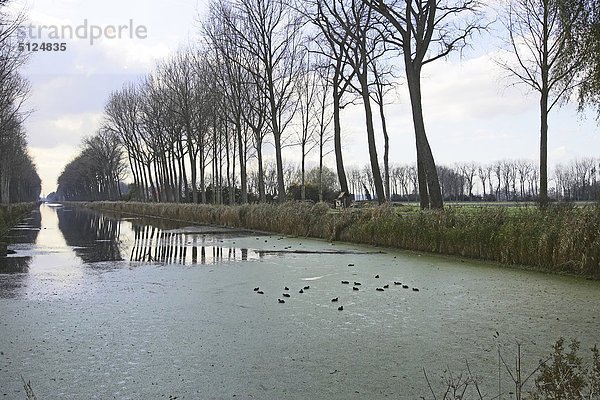 Belgien  Westflandern  Canal Damme