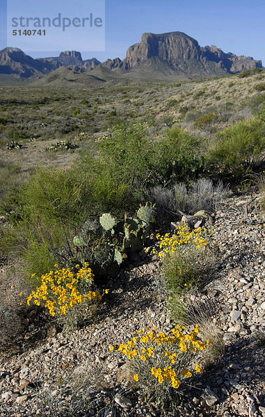 USA  Texas  Big-Bend-Nationalpark