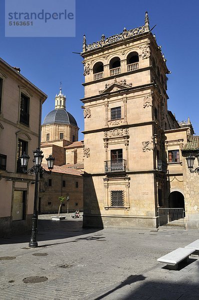 Europa  Spanien  Kastilien und Leon  Salamanca  Blick auf den Palacio de Monterrey