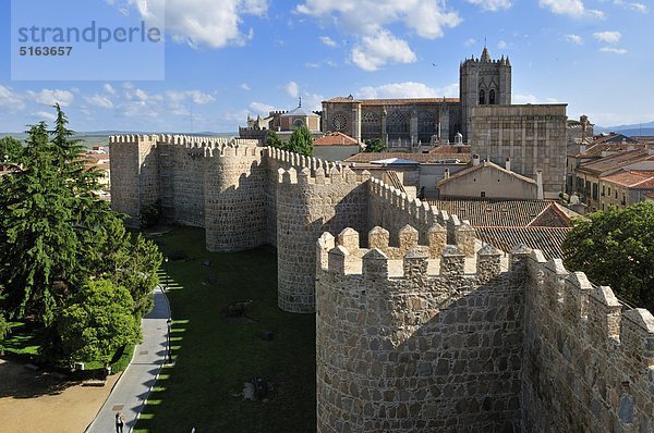 Europa  Spanien  Kastilien und Leon  Avila  Blick auf die mittelalterliche Stadtmauer mit Stadt im Hintergrund