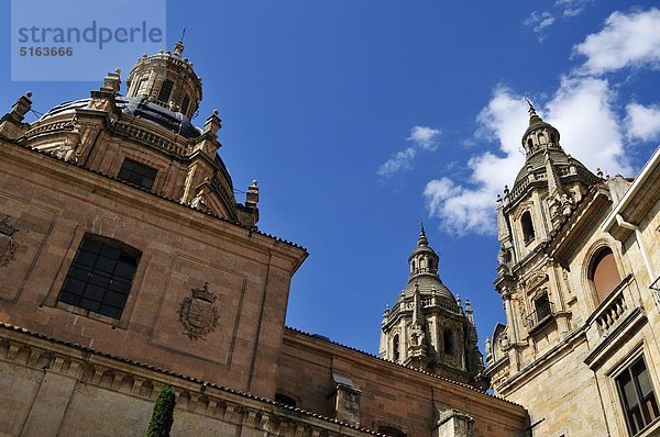 Europa  Spanien  Kastilien und Leon  Salamanca  Blick auf die historische Universität