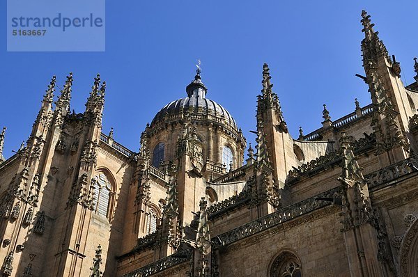 Europa  Spanien  Kastilien und Leon  Salamanca  Ansicht der Kathedrale