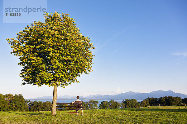 Chiemgauer Alpen  Chiemsee  Männer sitzen auf Bank unter Laubbaum