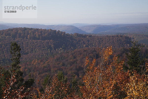 Deutschland  Rheinland-Pfalz  Nordvogesen  Drachenfels  Blick auf den Pfälzer Wald