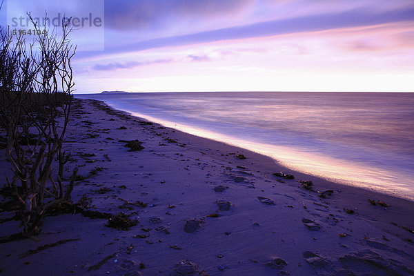 Dänemark  Kattegat  Ebeltoft  Ostsee  Blick auf Strand mit schönem Horizont bei Dämmerung