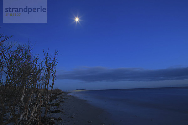 Dänemark  Kattegat  Ebeltoft  Ostsee  Blick auf den Strand am Meer mit Mond bei Nacht