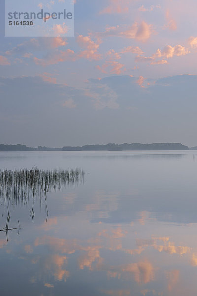 Deutschland  Mecklenburg-Vorpommern  Mecklenburger Seenplatte  Plau am See  Blick auf Sonnenuntergang am See