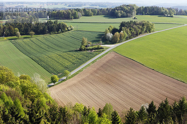 Deutschland  Bayern  Franken  Oberfranken  Fränkische Schweiz  Muggendorf  Blick auf landwirtschaftliche Flächen