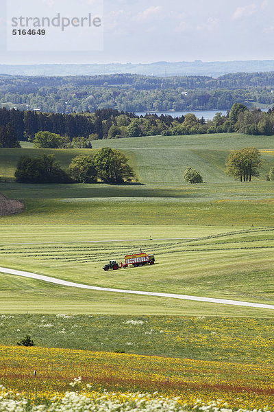 Deutschland  Bayern  Oberbayern  Muensing  Blick auf Wiesenschwaden mit Traktor und Starnberger See im Hintergrund