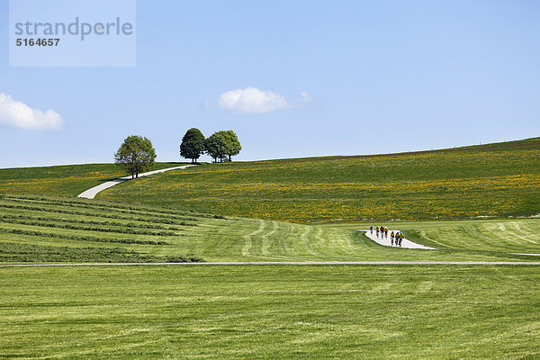 Deutschland  Bayern  Oberbayern  Muensing  Blick auf die Wiesenlandschaft im Frühjahr mit Bikern