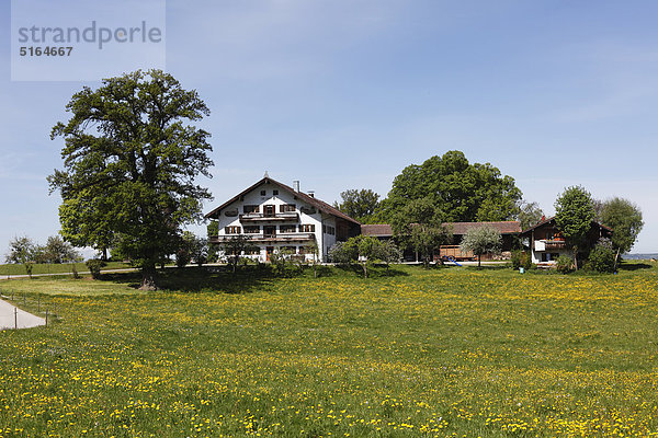 Deutschland  Bayern  Oberbayern  Muensing  Luigenkam  Blick auf Bauernhaus auf Wiesenlandschaft