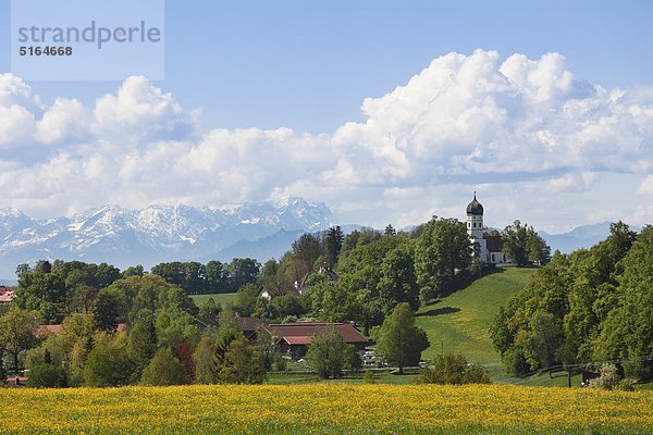 Deutschland  Bayern  Oberbayern  Muensing  Holzhausen  Landschaft mit Alpen und Zugspitze