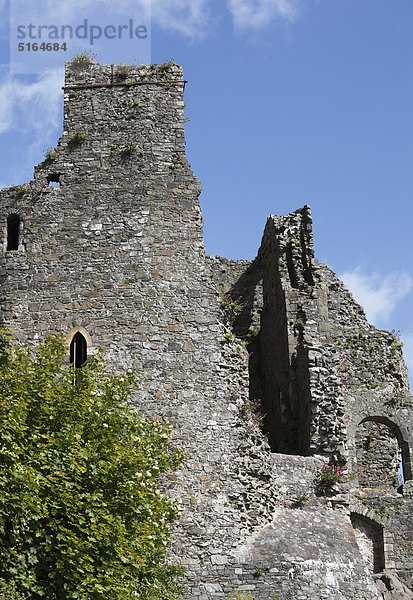 Republik Irland  Grafschaft Louth  Cooley Halbinsel  Carlingford  Blick auf King John's Castle