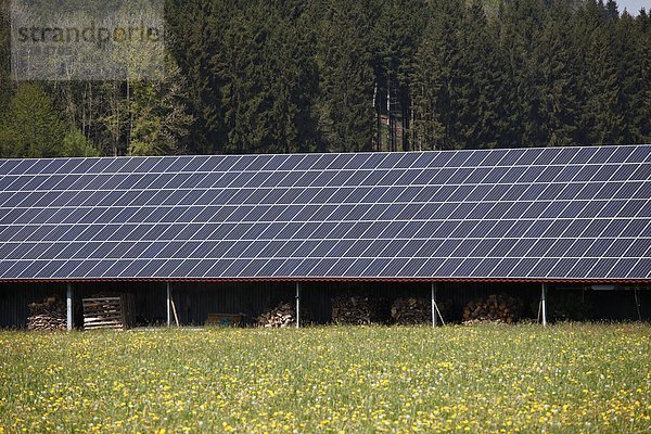 Deutschland  Bayern  Schwaben  Allgäu  Friesenried  Blick auf Sonnenkollektor in den Wiesen