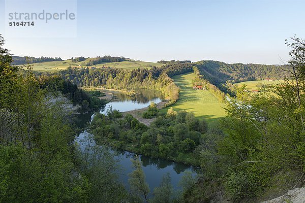 Deutschland  Bayern  Schwaben  Allgäu  Altusried  Kalden  Blick auf die Iller