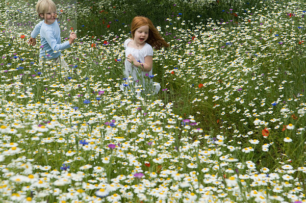 Kinder  die im Blumenfeld laufen