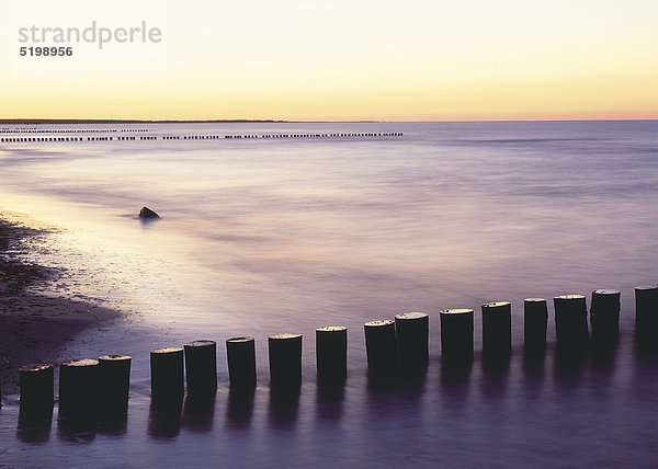 Buhnenreihen am Strand  Ostsee  Abendstimmung