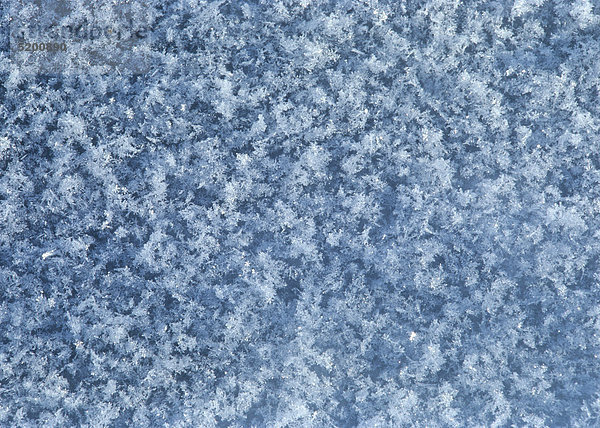 Schneeoberfläche  Schneekristalle
