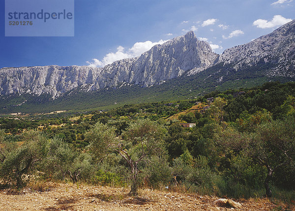 Montana Cusidore  Oliena  Sardinien  Italien