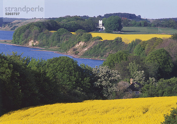 Rügen  Landschaft bei Alt-Reddevitz  Mecklenburg-Vorpommern  Deutschland