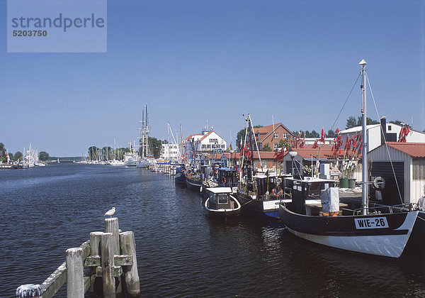 Fischerdorf Wieck  Hafen  Mecklenburg-Vorpommern  Deutschland