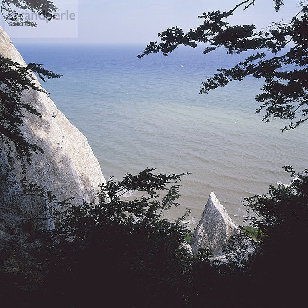 Kreidefelsen  Rügen  Friedrich-Blick  Mecklenburg-Vorpommern  Deutschland