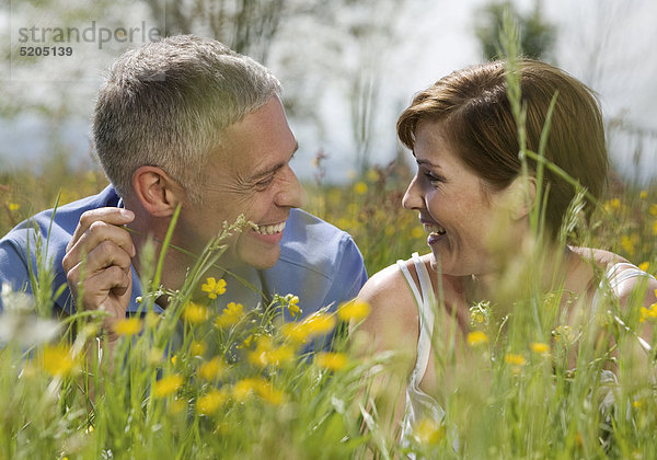 Paar  liegen in sommerlicher Blumenwiese  lachen sich an