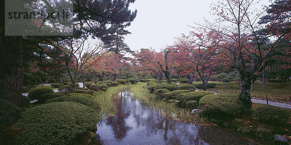 Japanischer Park im Herbst  Japan