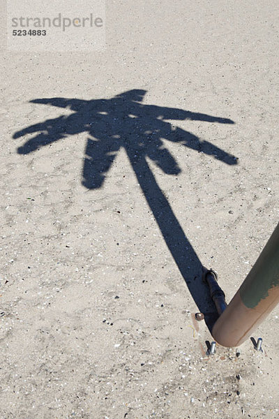 Eine Person  die neben einer falschen Palme steht  konzentriert sich auf Schatten.