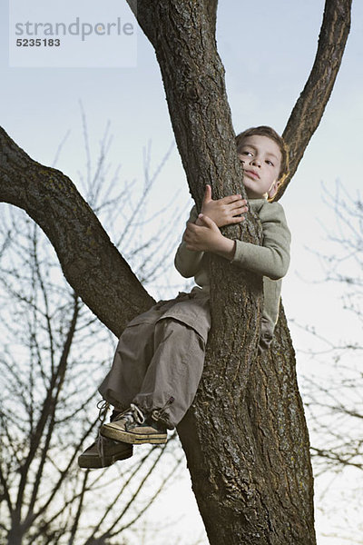 Ein unglücklicher Junge sitzt in einem Baum und greift einen Ast.