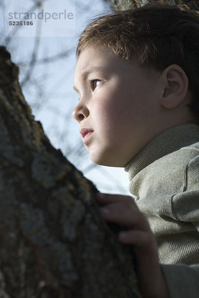 Ein Junge in einem Baum  der in die Ferne schaut.