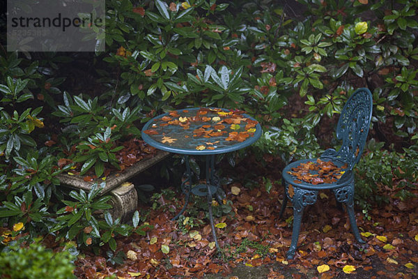 Detail der Gartenmöbel im Herbst