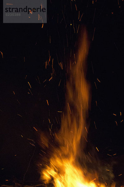 Detail der Flammen eines Feuers