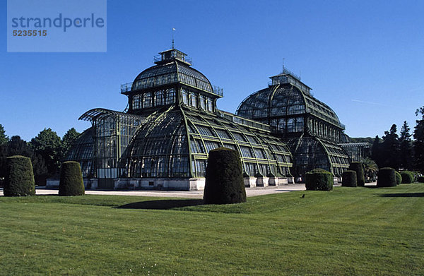 Österreich  Wien  Palmenhaus im Garten von Schloss Schönbrunn