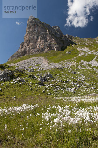 Der Wetterstein  Tirol  Österreich  Blick vom Fuße des Berges auf die Klippe