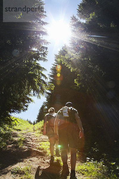 Wanderer  die im Wald bergauf wandern