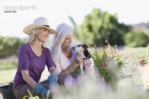 Ältere Frauen untersuchen gemeinsam den Garten