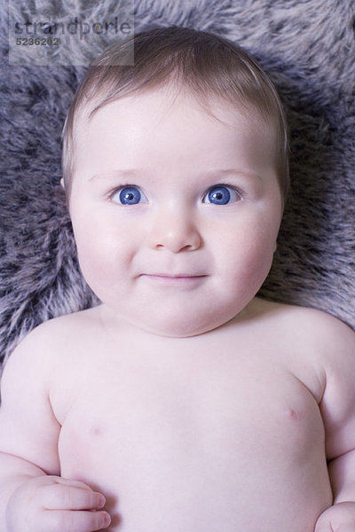 Baby Junge  Portrait